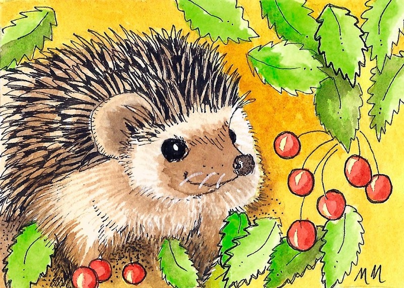 ACEO Limited Edition -Hedgehog print of Original Watercolor