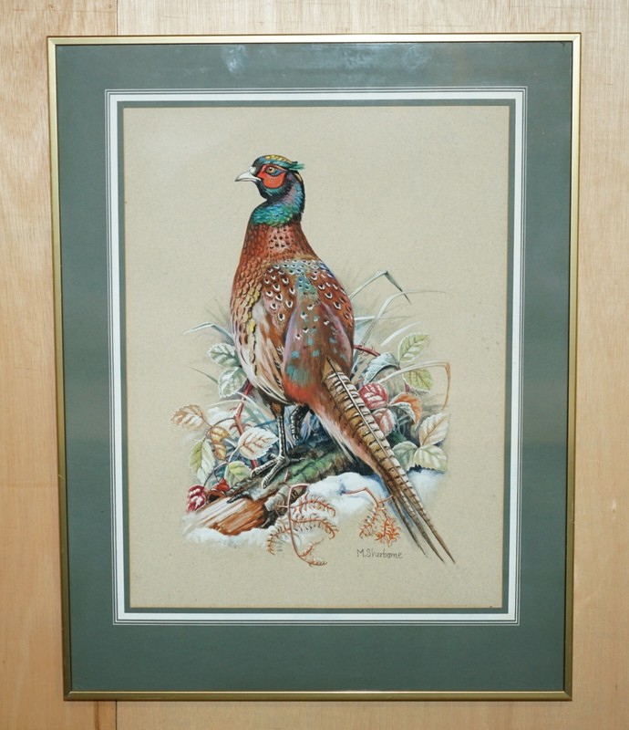 VINTAGE M SHERMORNE SIGNED ORNITHOLOGY WATERCOLOUR PAINTING OF A PHEASANT BIRD gallery