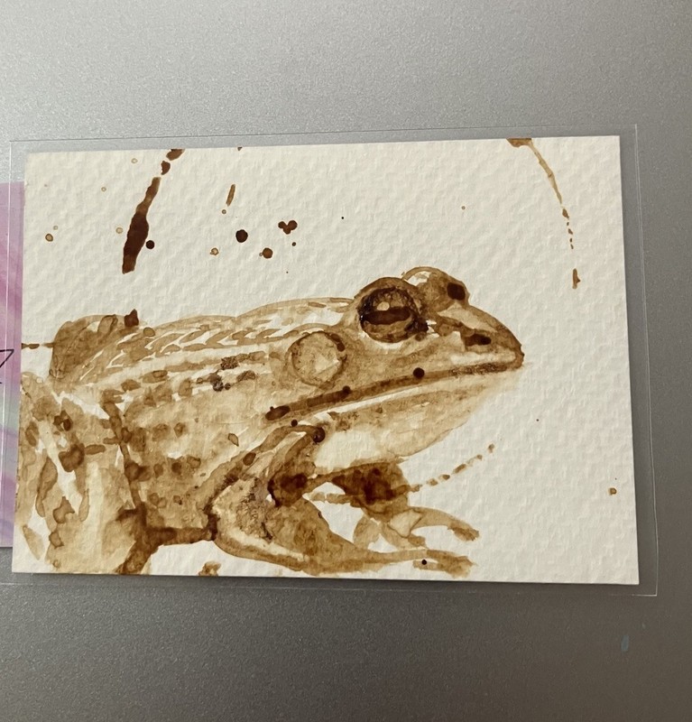Aceo Original Frog Coffee Painting Miniature Realism Lover ATC Art Amphibians US