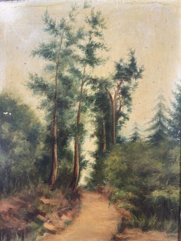 Signed And Dated Oil 1896: Trees And Path In Forest Barbizon School France