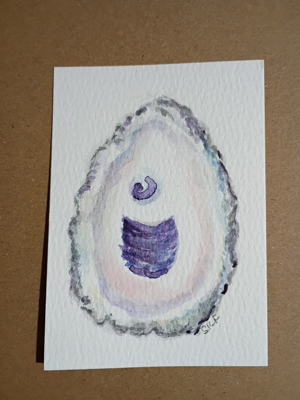 Original ACEO Oyster Shell Watercolor Painting – Mini Ocean Art By Sharon Foster