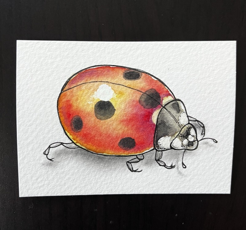 ACEO Original Watercolor Painting “ Ladybug #2” By Connie Kline 2.5x3.5”