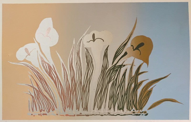 Julia Ninio Signed And Numbered By Artist Buenos Aires Argentina