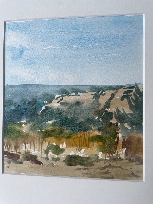 New Zealand,Victoria Park/ 10 1/2″w x 11 3/4″h / orig. w/c/matted/ MDavis,artist
