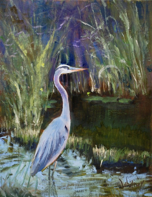 Blue Heron Oil Painting Everglades Florida 11×14 Original Oil on Canvas Whitney