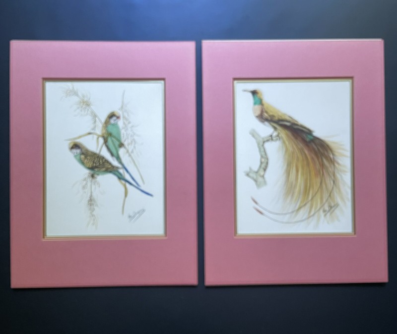 Vintage Val. Dupre’s Watercolor Print Set Parakeets & Bird of Paradise, Signed