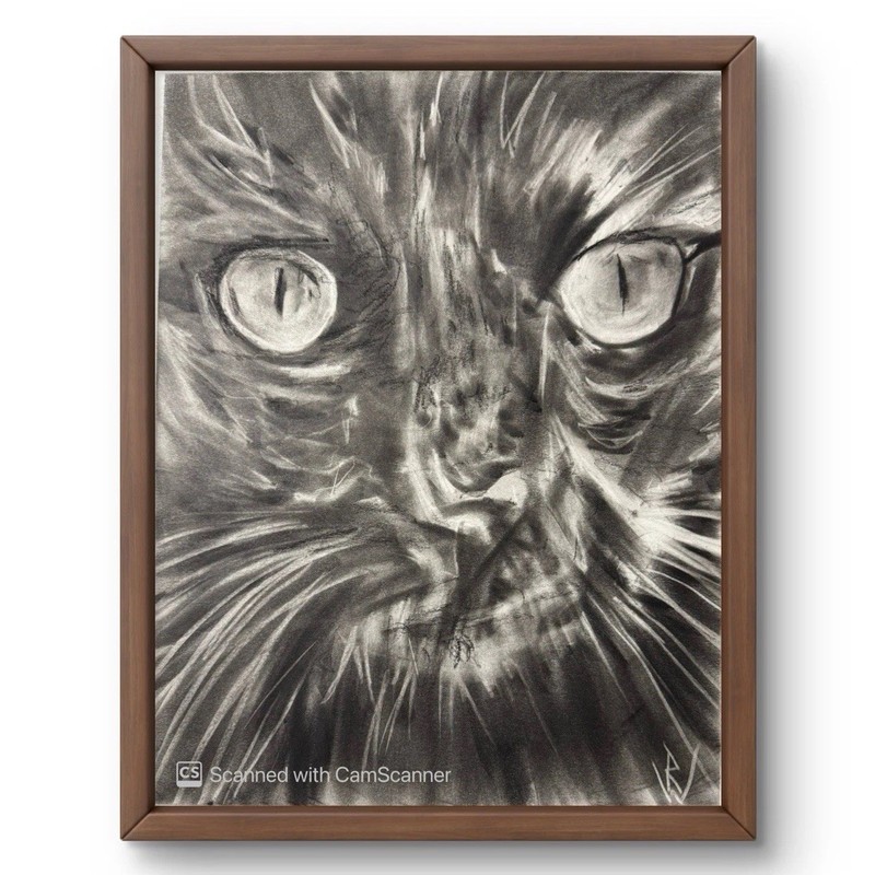 Black Cat Eyes Close Up 11×14 Pastel Drawing Expressionist Art