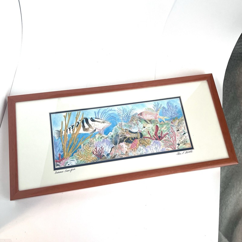 “Bahama Crawfish” Vibrant Watercolor Painting 11×24 Signed Pam E Webb Framed