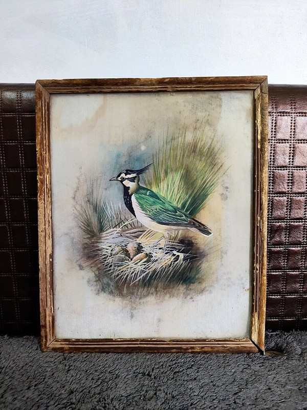 Antique Rare Hindu Artist Cloth Bird Painting Old Fine Oil Painting Wall Decor