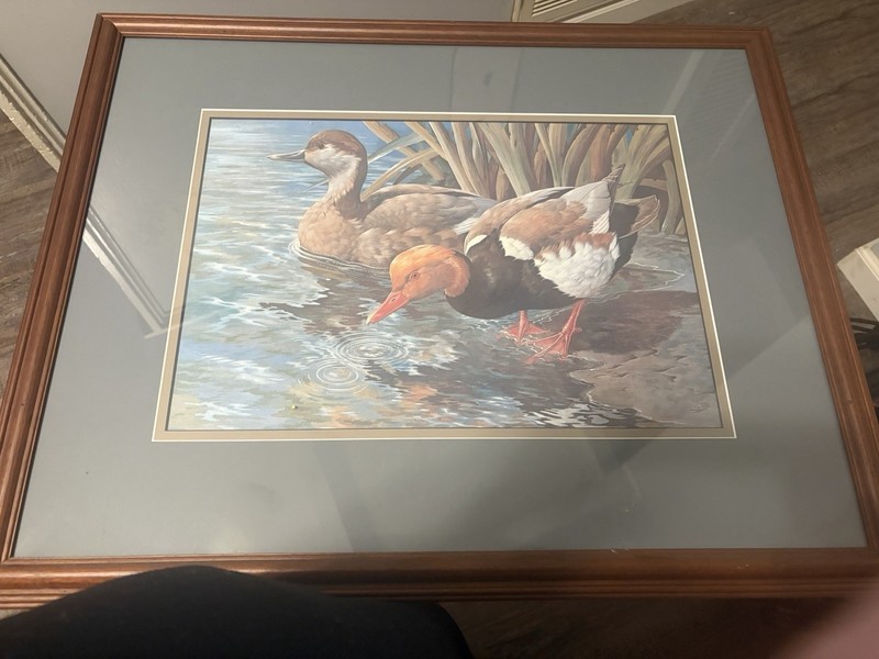 Red Crested Pochards Signed Basil Ede gallery