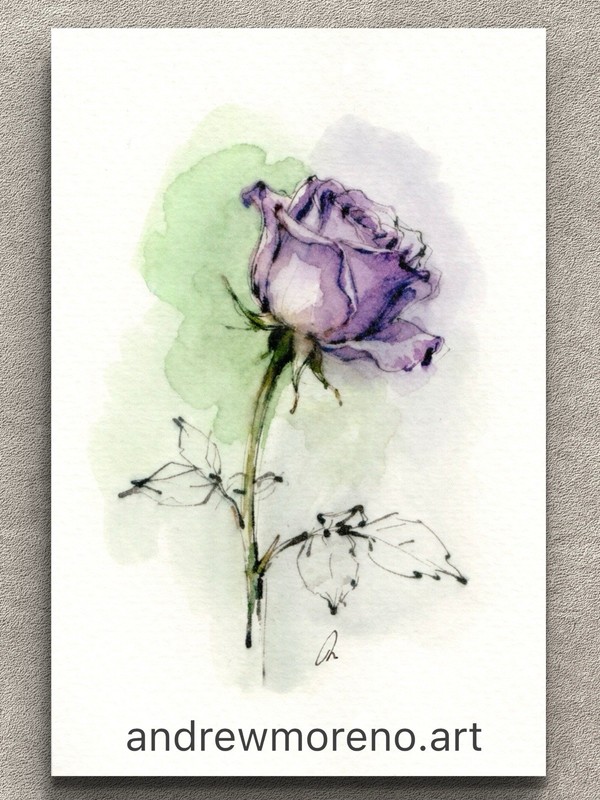 Original Watercolor Rose Painting Collection – 4×6 Collectors Size