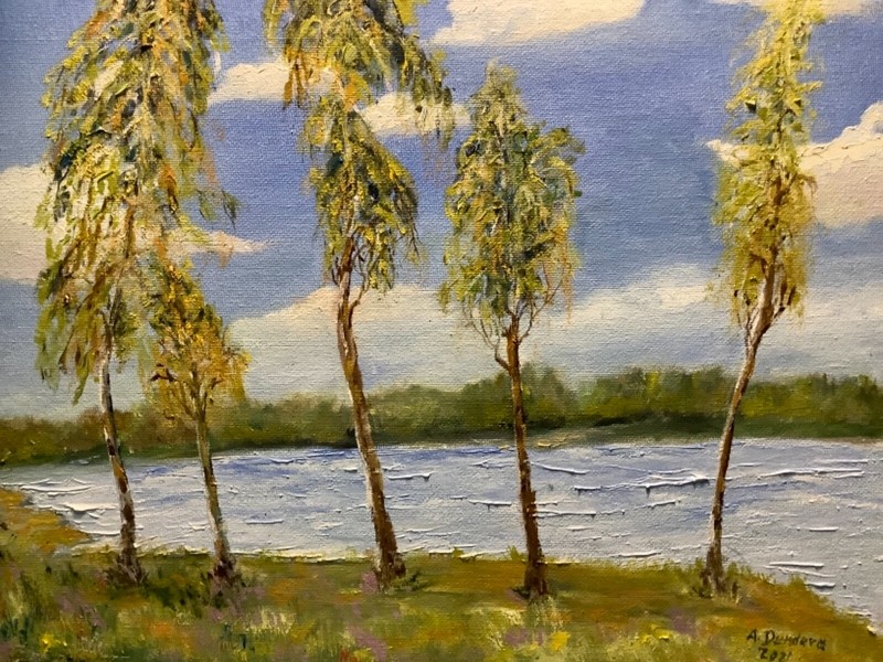 Birch Trees Landscape Original painting in Oil on canvas 20x16" Artwork eBay gallery