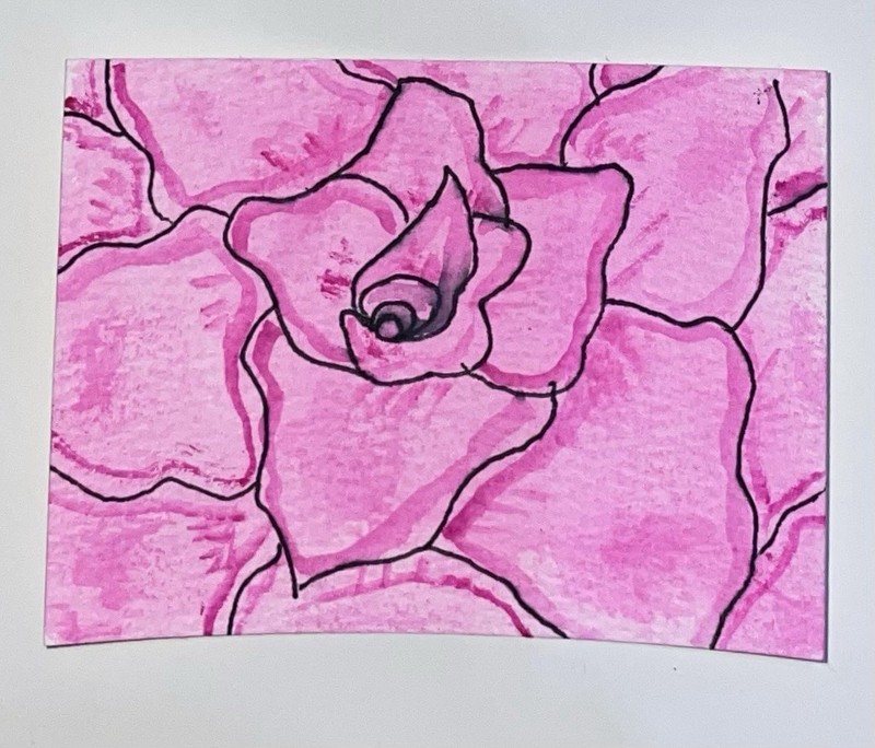 Original Handmade Pink Rose Flower ACEO By Erin Rollin