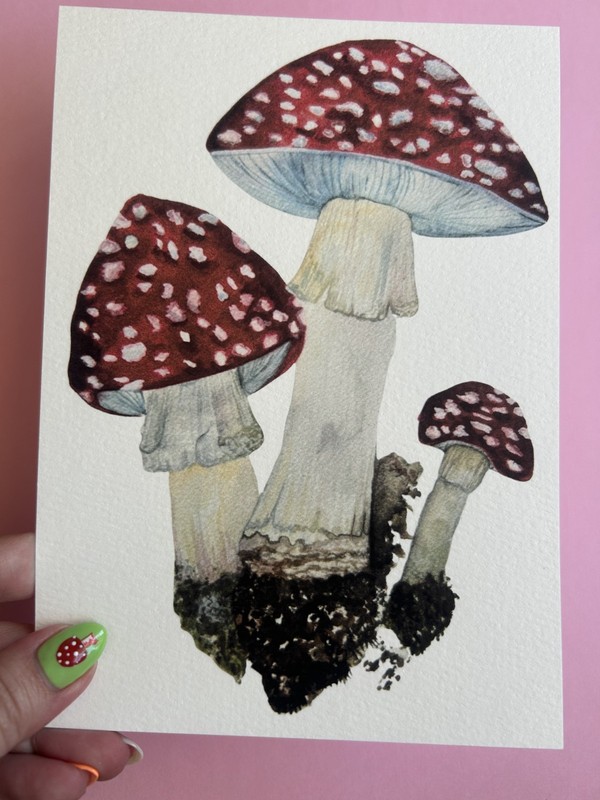 Art Print Sawyer Crane 5 x 7 Toadstool Mushroom Cottage core Nature Watercolor