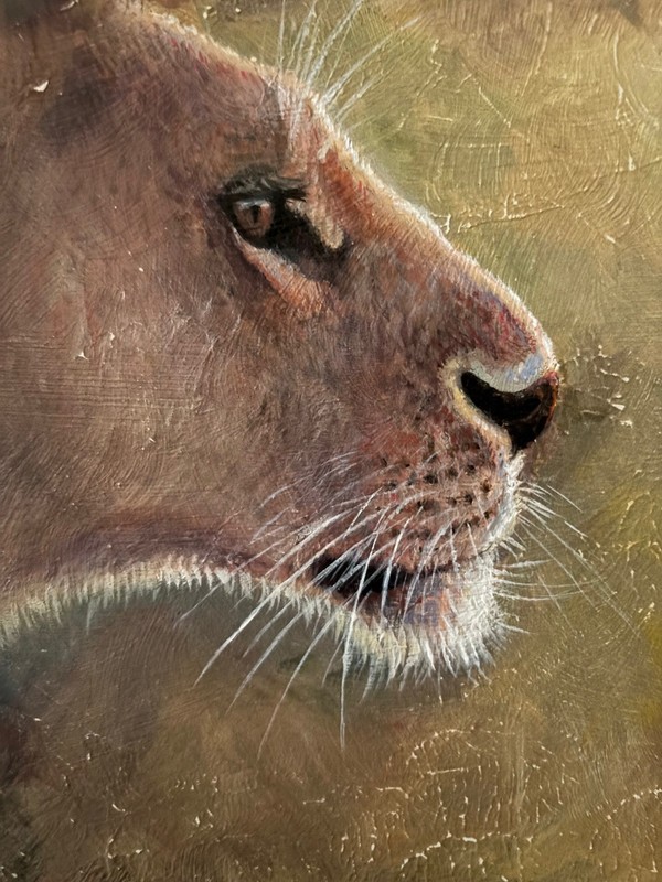 «In the Shadows» Lioness/Acacia, African Wildlife Original Painting, Gold Frame