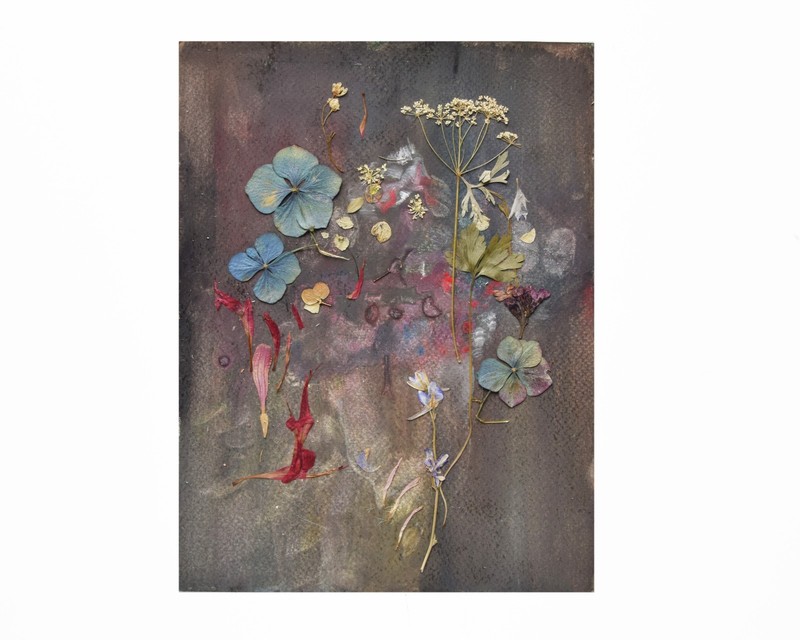 Pressed flower artwork on dark, Botanical herbarium dried leaves art