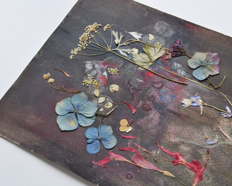 Pressed flower artwork on dark, Botanical herbarium dried leaves art gallery