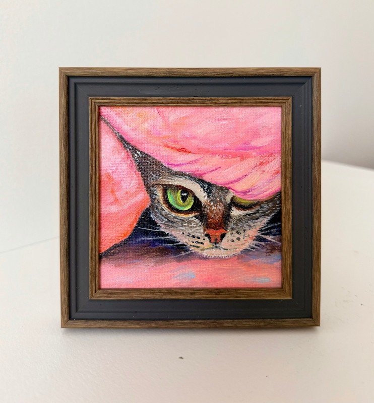 Funny Cat. Framed. Art and Reality. Animal’s World in Humorous Representation.