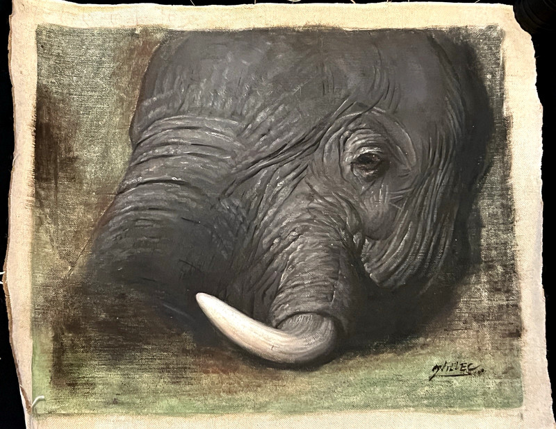 VINTAGE OIL PAINTING OF ELEPHANT FROM 1960TH WITHOUT STRETCHER & FRAME.