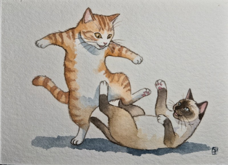 ACEO Original Art Painting 100% Handmade OOKA «Wrestling Championship» Cat Kitty