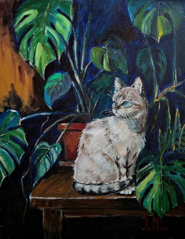 art 730 original painting acrylic on canvas 50×40 cm Blue-eyed beauty cat Animal