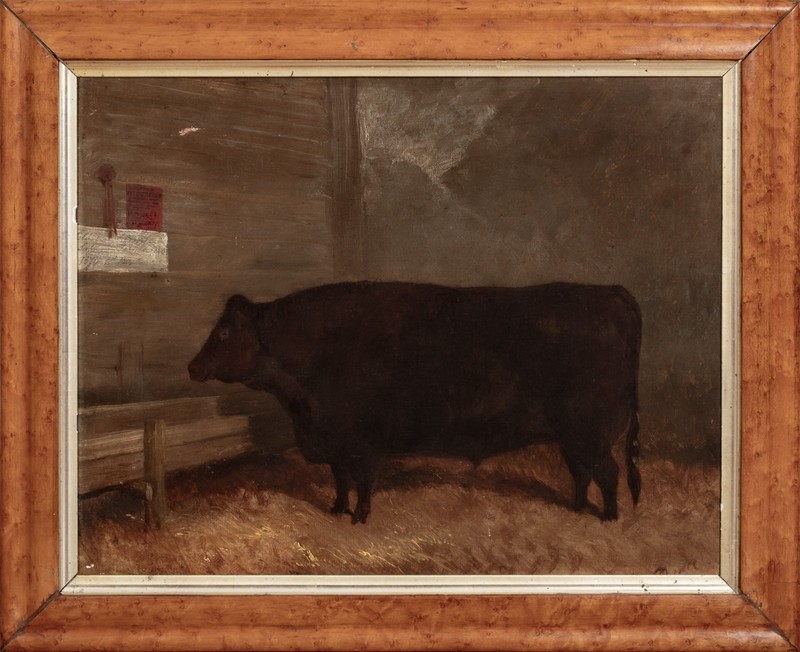 Large 19th Century English Portrait of a Prize Suffolk Ox In A Barn – Signed