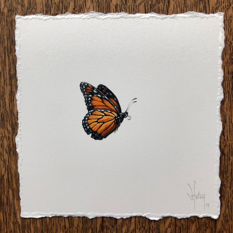 Vanessa Foley original painting Monarch Miniature Butterfly Bee Bird not print