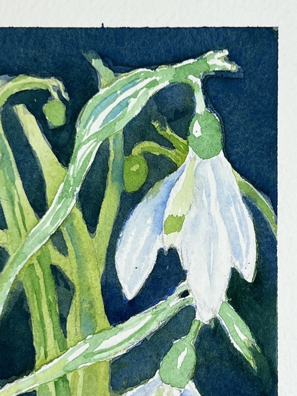 Roberta Larson Original Watercolor Painting Snowdrops 7x6” Signed Flower gallery