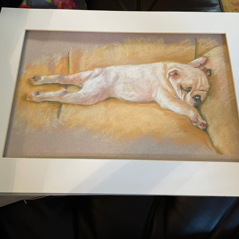 Pastel original painting Sleeping French Bulldog ~12×17” WO Mat ~13×18”