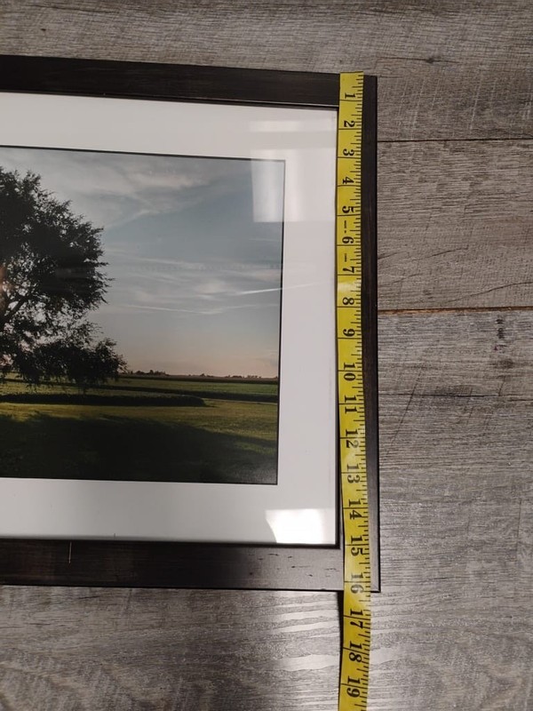 16x20 Framed Tree Landscape Photograph Print Black Wood Frame Nature Wall Art gallery