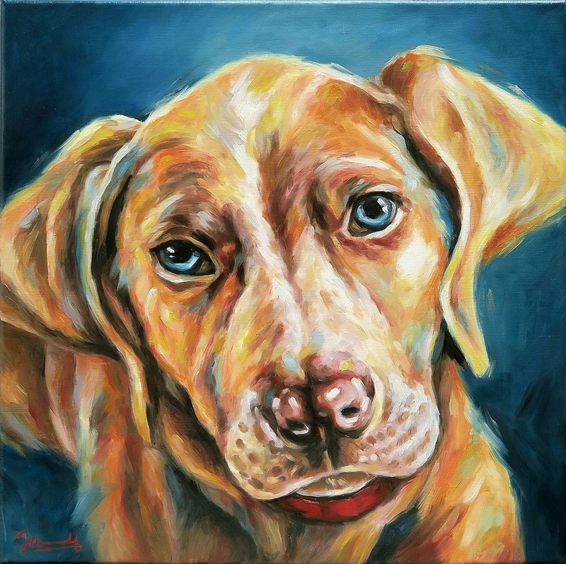 Original animal portrait oil picture dog Bruno (2) animal picture canvas modern painting