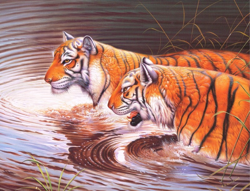 Animal Miniature Painting Of two Bengal Tigers Standing In Water Nature Art gallery