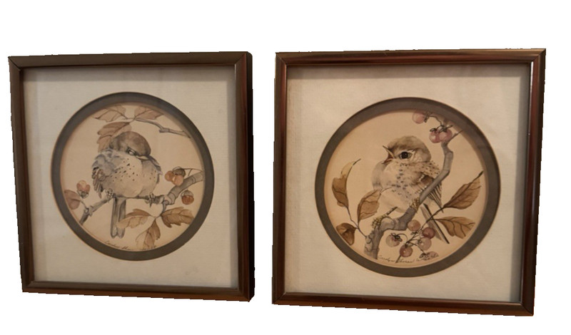 Original Watercolor Bird Botanical Paintings Carolyn Shores Wright Signed 2 Pc S