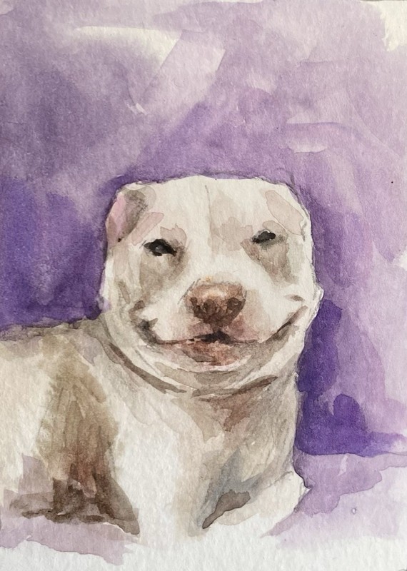 ACEO 100% Hand Painted Original Mixed Media Painting Art Dog