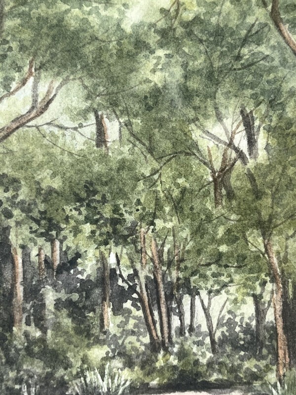 Jan Ford Radford Watercolor Painting Tree Lined Road Framed Artwork 11 x 15" gallery