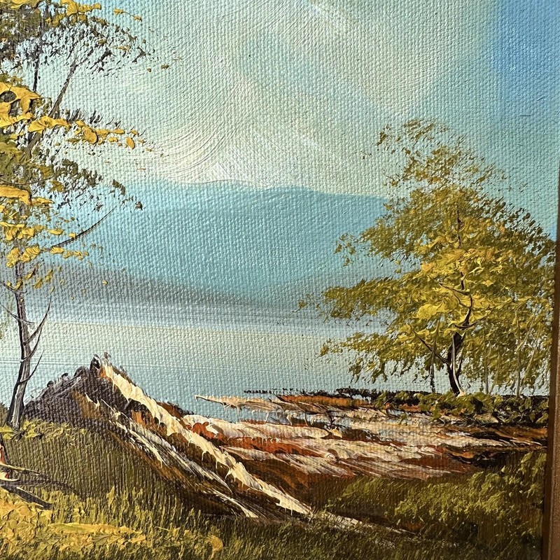 VTG Original Oil Painting 15x17 Inch Landscape Tree Forest Mountain River Signed gallery