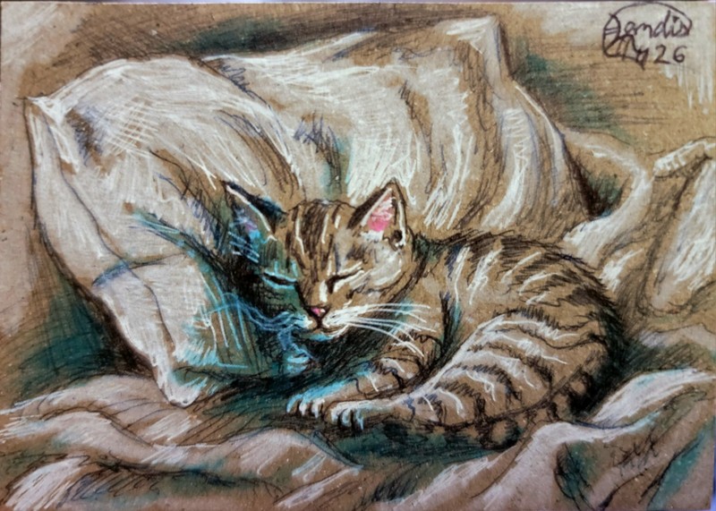 Jacob Landis WHIMSY HANDMADE ORIGINAL ACEO Sketch Kittens Cats "Tug Of War" gallery