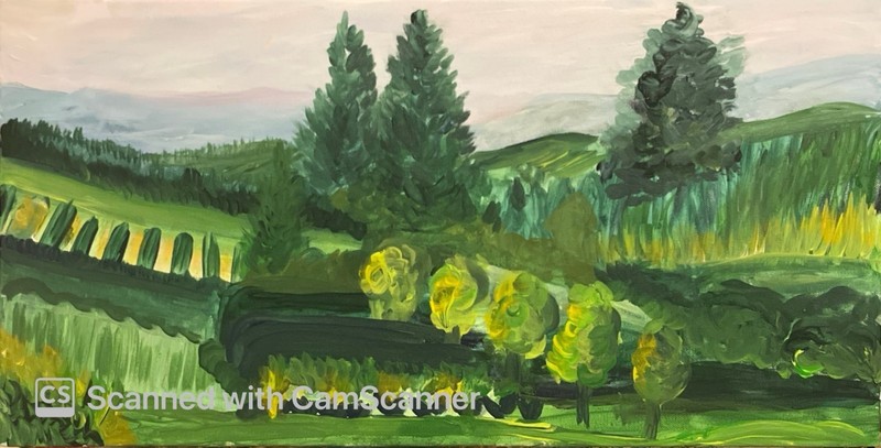 BLESSED#539 Green Wine Country Landscape 12x24 Canvas Original Oil Painting gallery
