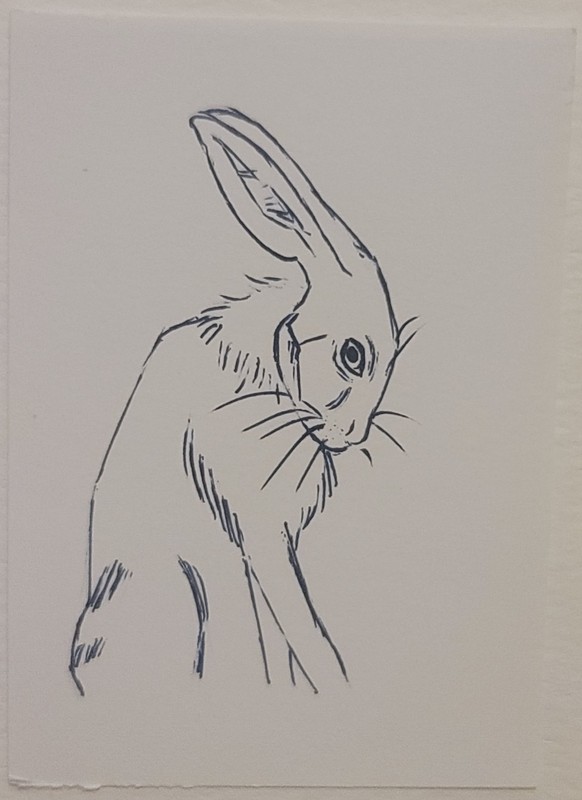 ACEO Original Animal Rabbit/Bunny Mini Art Pen Sketch Figurative Art