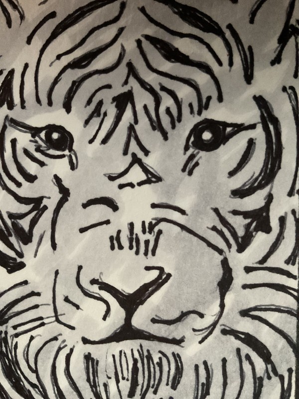 ACEO watercolor art by PJ, art card 2.5 x 3.5: tiger in black and white.