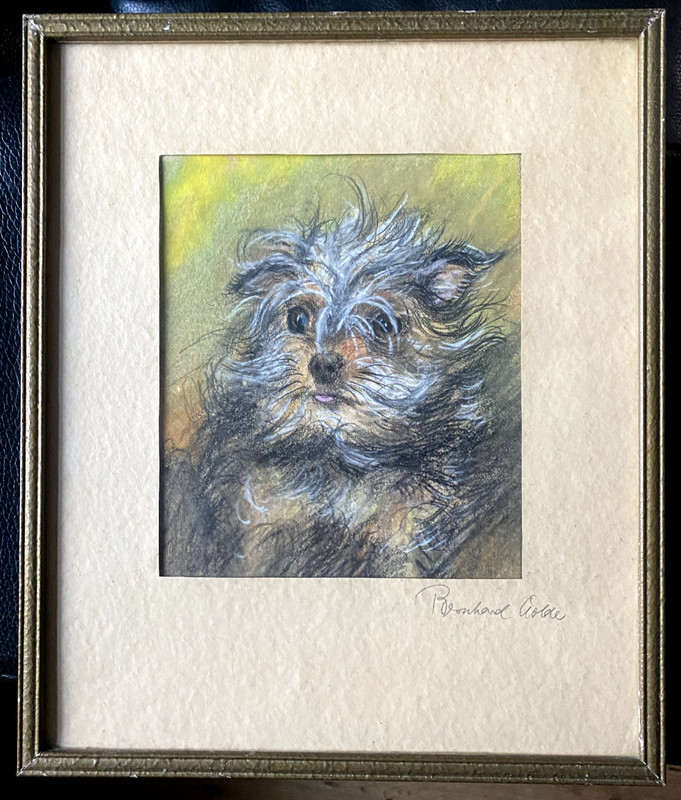 Dog Berherd Wolde Terrier Drawing Antique Animals Frame ° Interesting Made