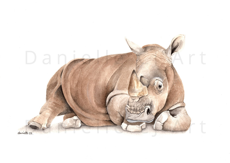 Original Watercolour Rhinoceros Painting – Safari Animal Art