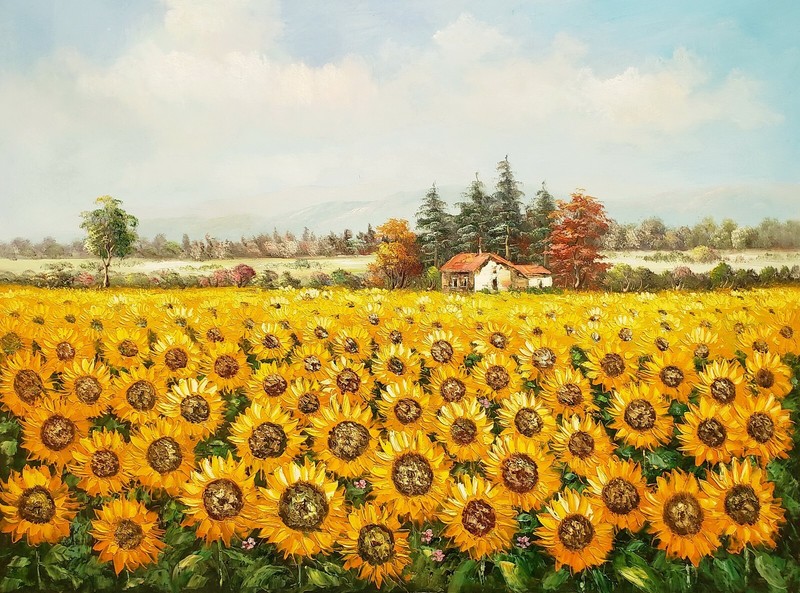 Tuscan Sunflower Field -#4, 36×48, 100% Hand painted Oil Painting on Canvas
