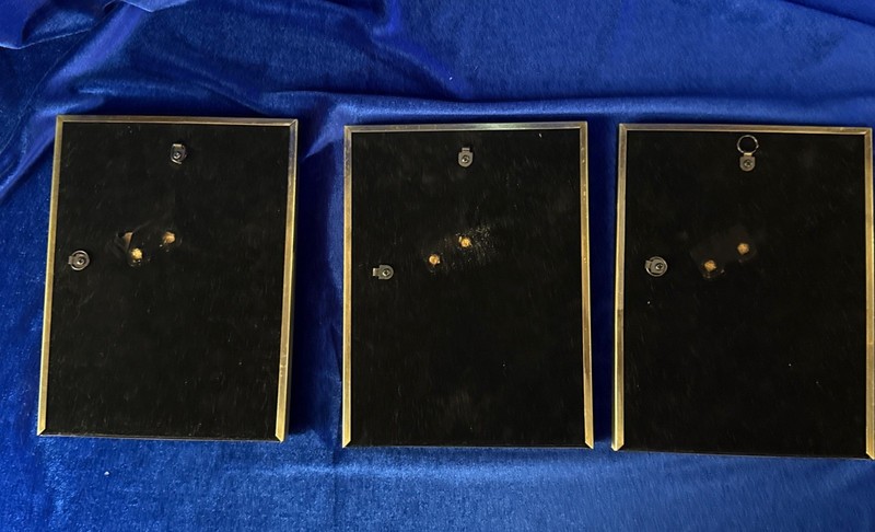 LePakshi Peepal PiPal Leaf Hand Painted Indian Women Framed Art Set Of 3 Framed gallery