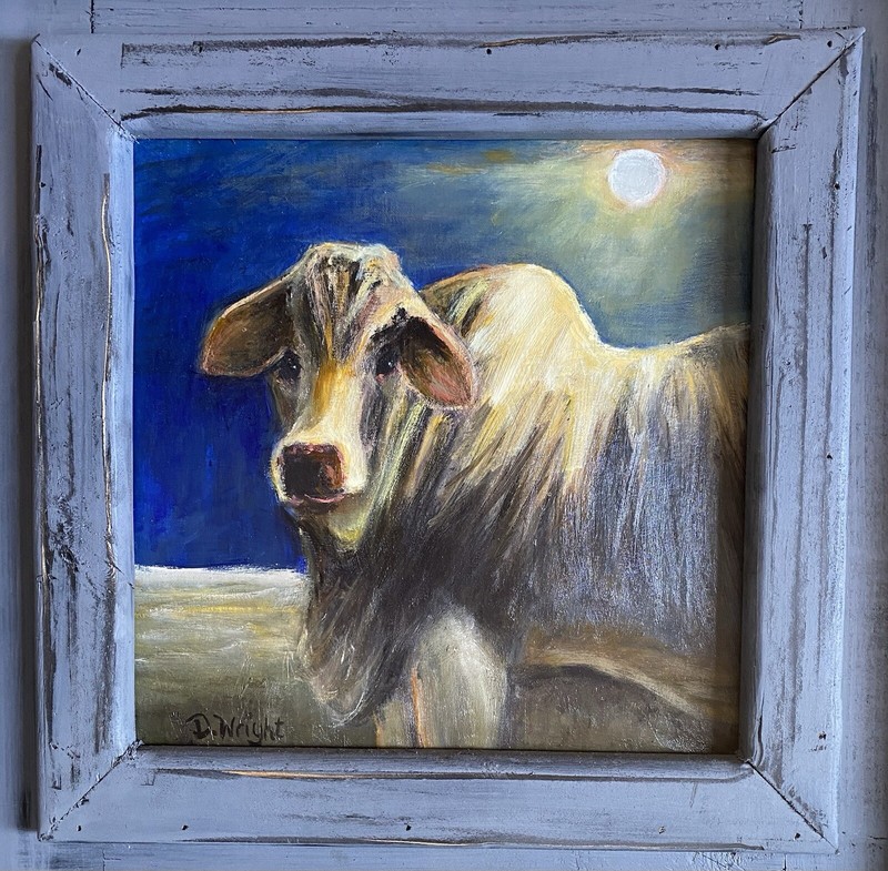 Oil Painting-“Moonlight Brahma”-Noted Texas Artist-Cows-Bull-Western Art gallery