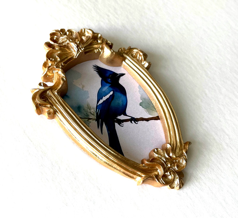 Bluejay Stellar Jay Framed Miniature Mini ART PRINT Gold Ornate Frame NOT ACEO gallery