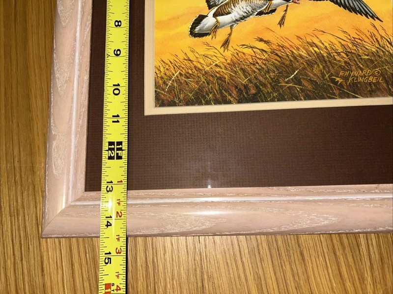 Original Rhynard Klingbeil Watercolor painting framed White-Fronted Goose gallery