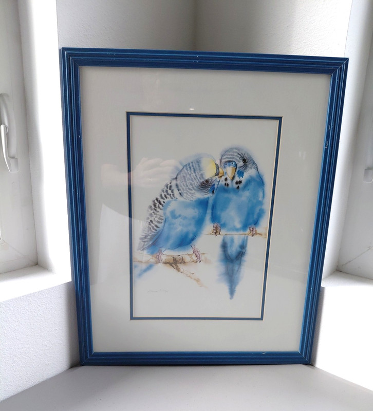 VTG Watercolor Art Blue Bird Parakeets Pair Kissing Budgie Framed 17X21 Novelty