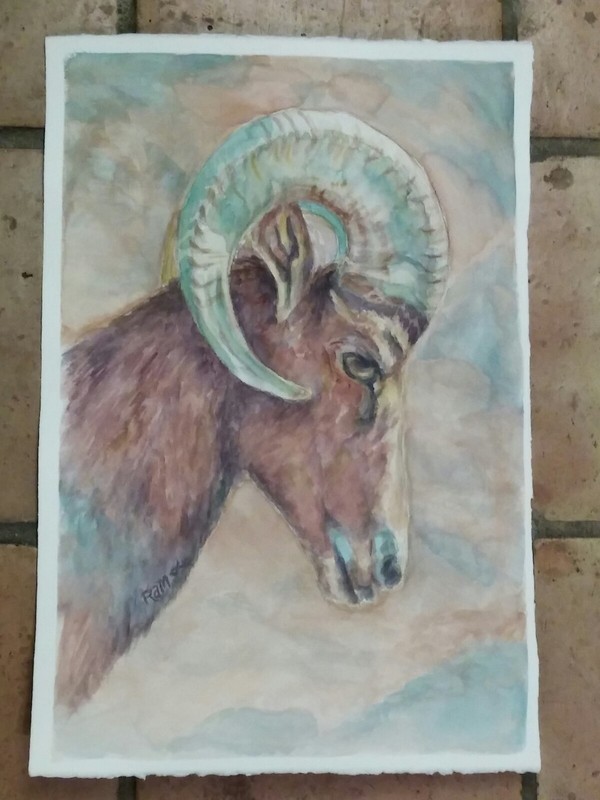 La Quinta Big Horn Sheep Original Watercolor Painting RAMfish Artist