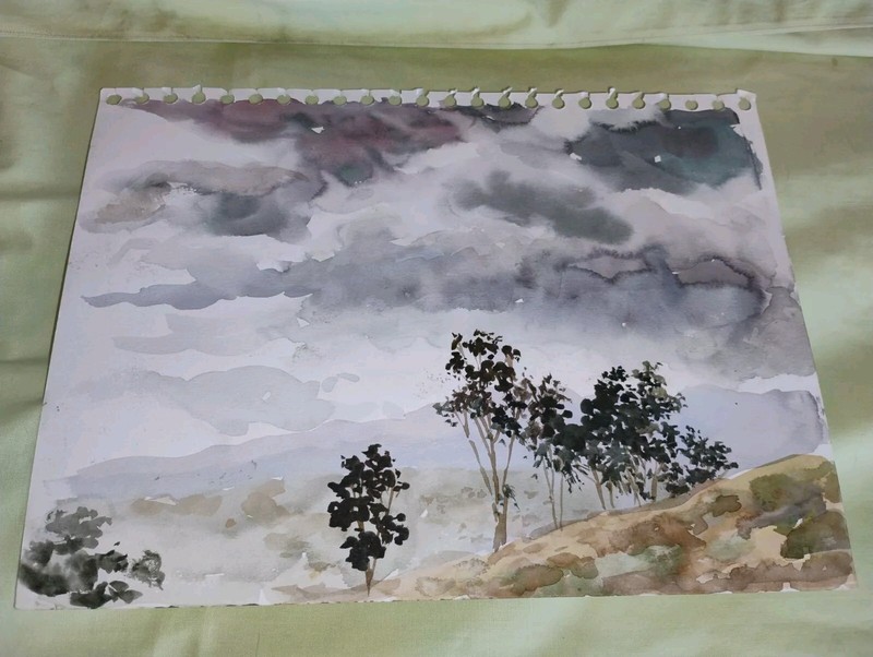 Original Watercolors By Peg Humphreys Stormy And Windy Day 9″ x 12″ W/ COA